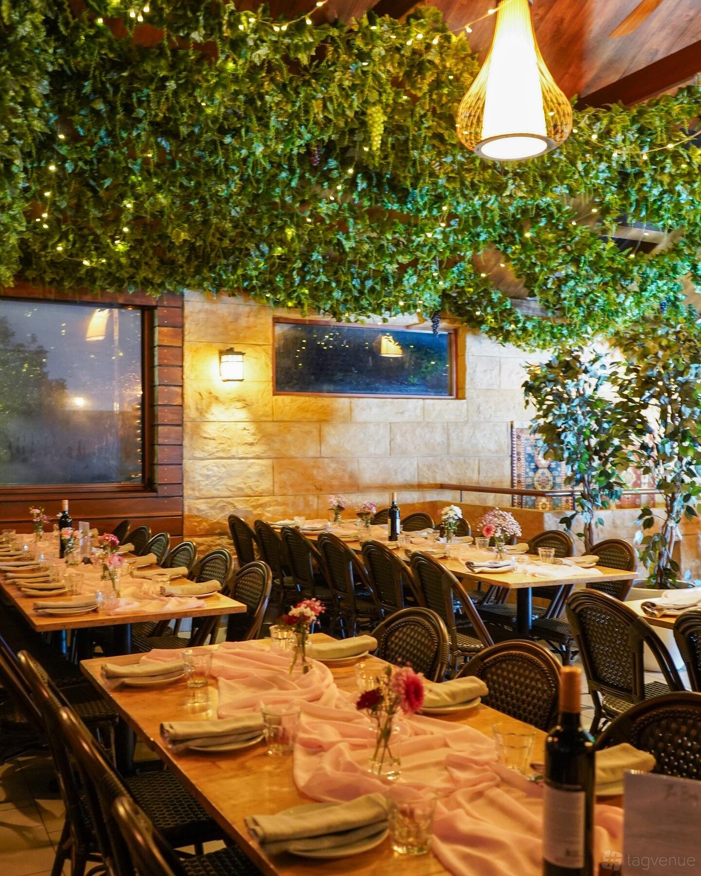 Terrace at Teta's Authentic Lebanese photo 7
