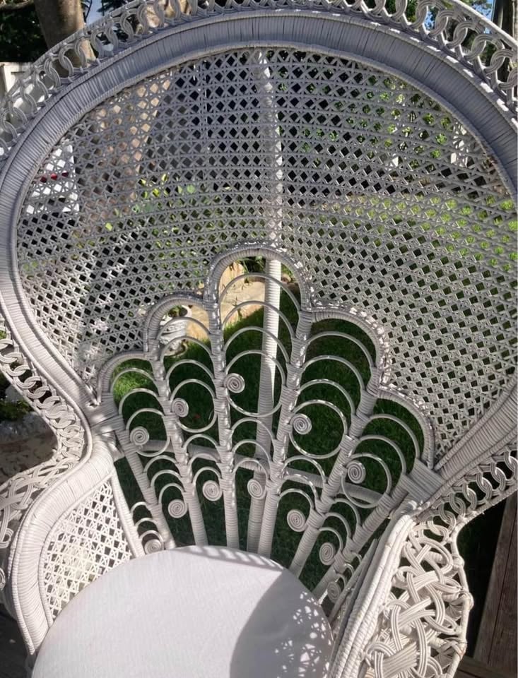 Peacock Chair Hire photo 4