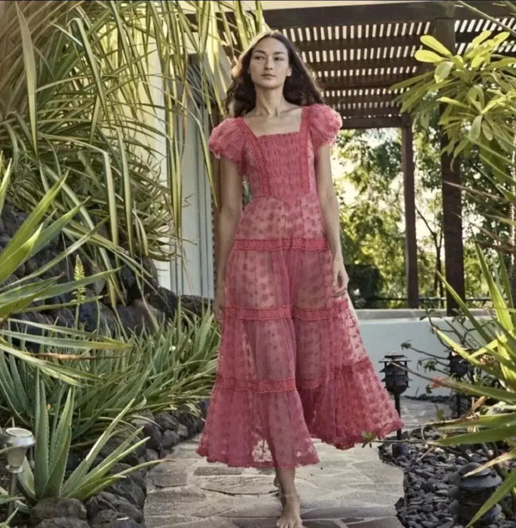 Nadette Lace-trimmed Embroidered Tulle Maxi Dress Pink Size M/AU 10 photo 3