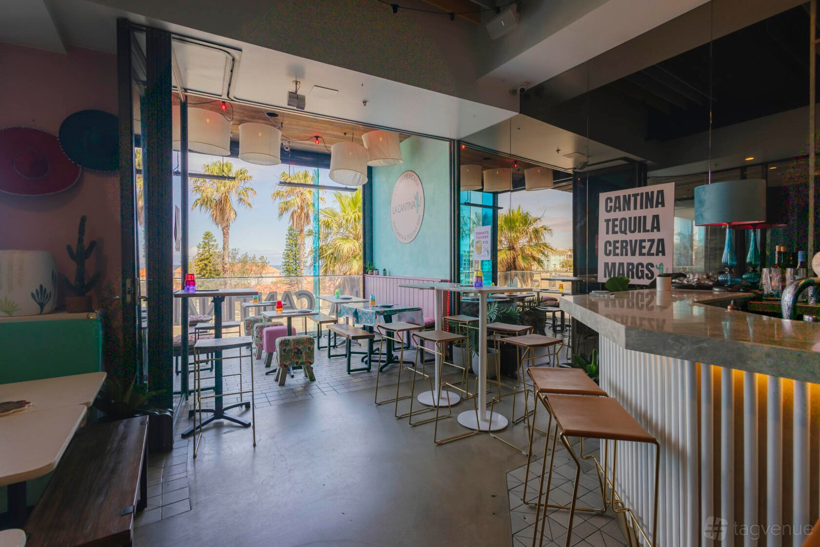 Whole Venue at La Cantina Bondi photo 5