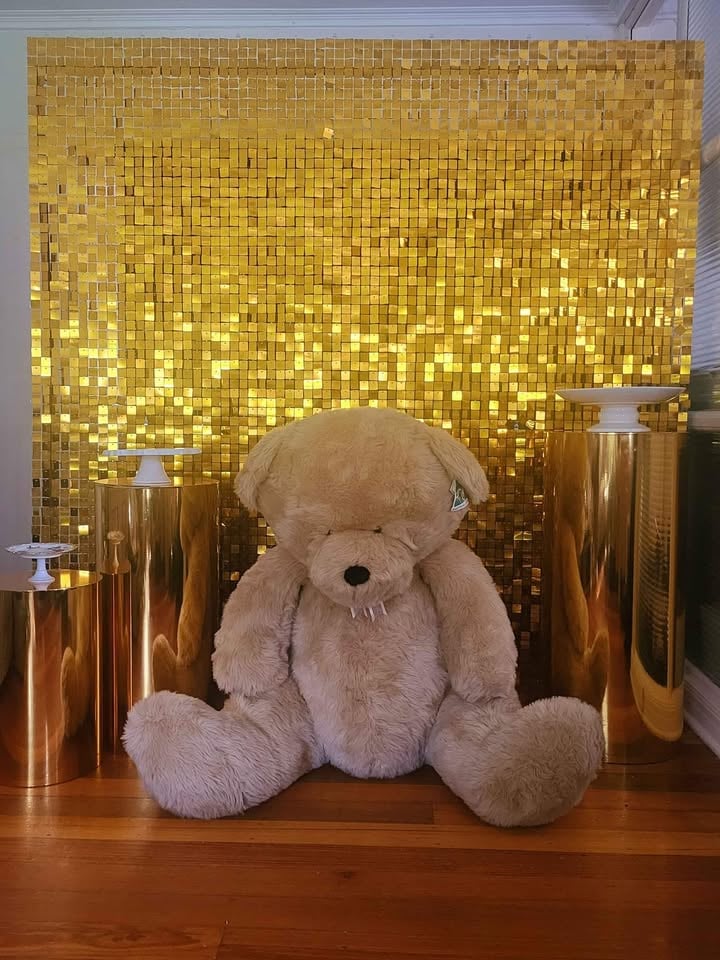 Event Hire - Giant Teddy Bear Baby Shower, Birthday, Gender Reveal photo 4