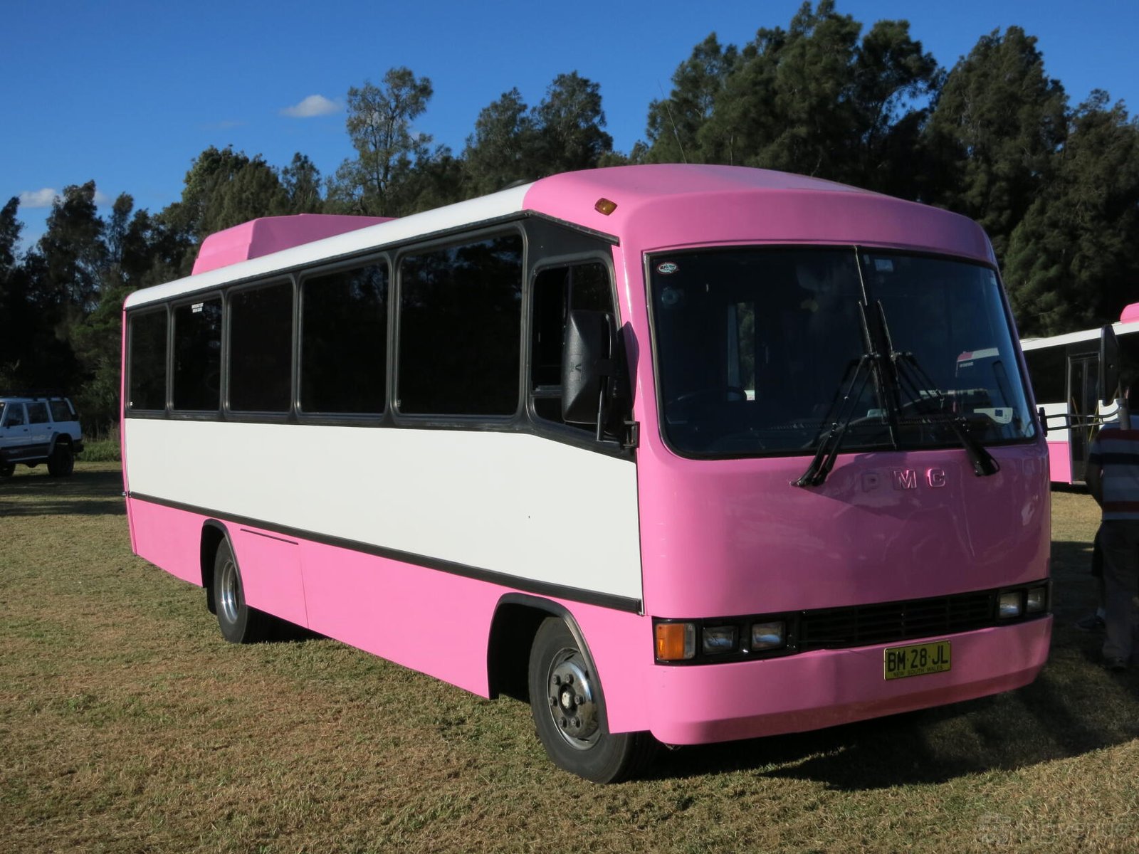 32 Seater Party Bus at Pink Party Bus photo 5
