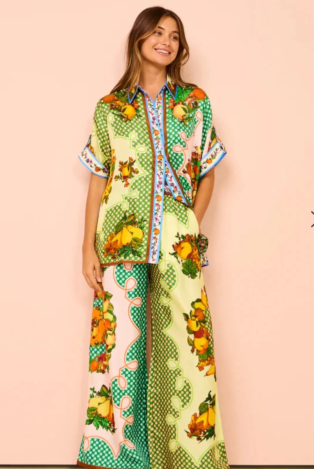 Alemais  Lemonis Silk Shirt and Pants Set Multi Size 12 photo 5