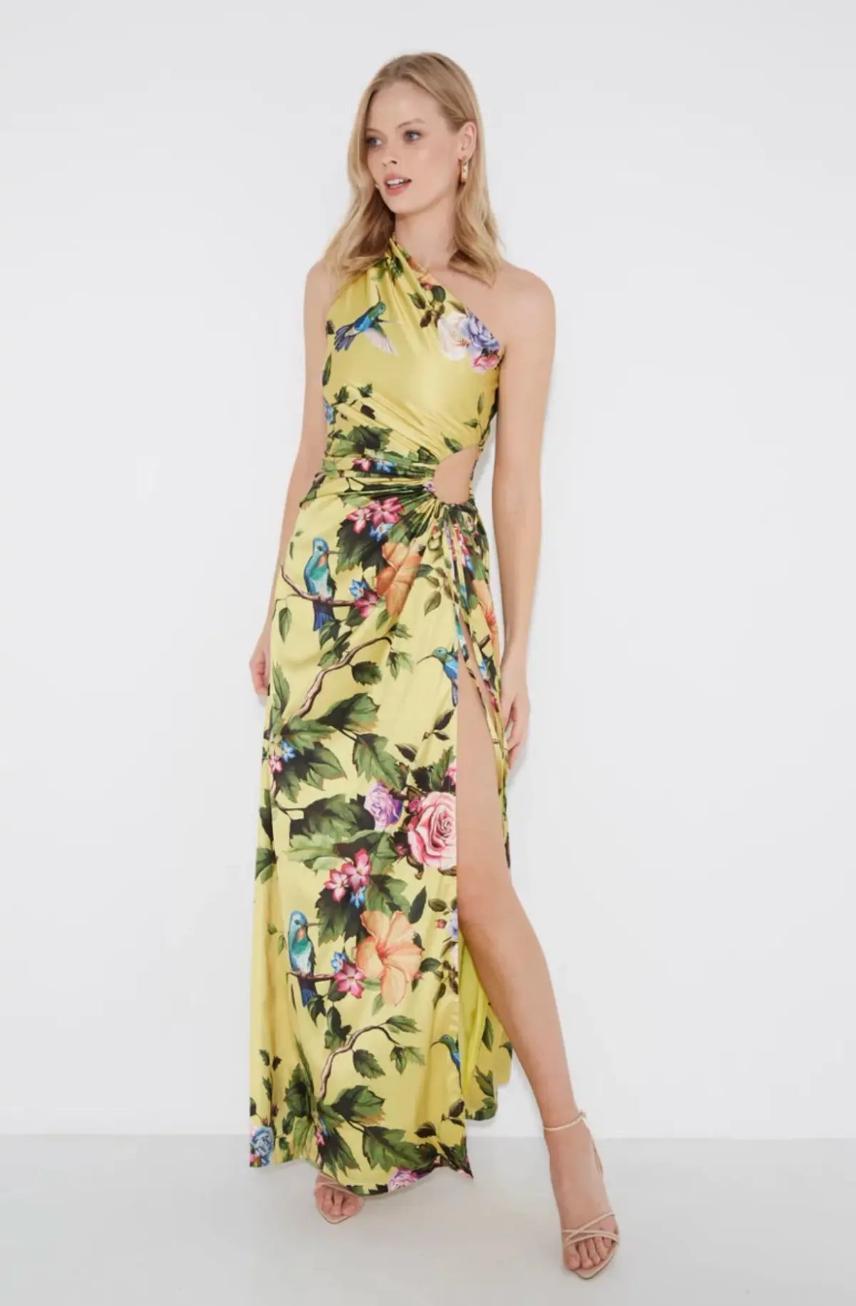 Sonya Moda Nour Royal Botanic Maxi Dress Print Size 8 photo 2