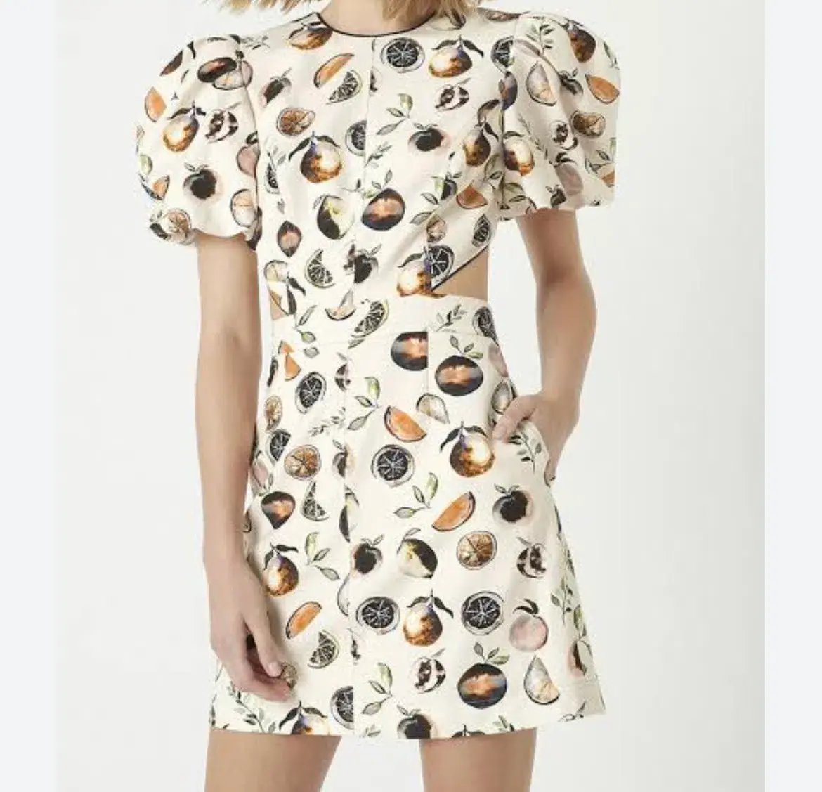 Rebecca Vallance Frutta Mini Dress Size 8 photo 3