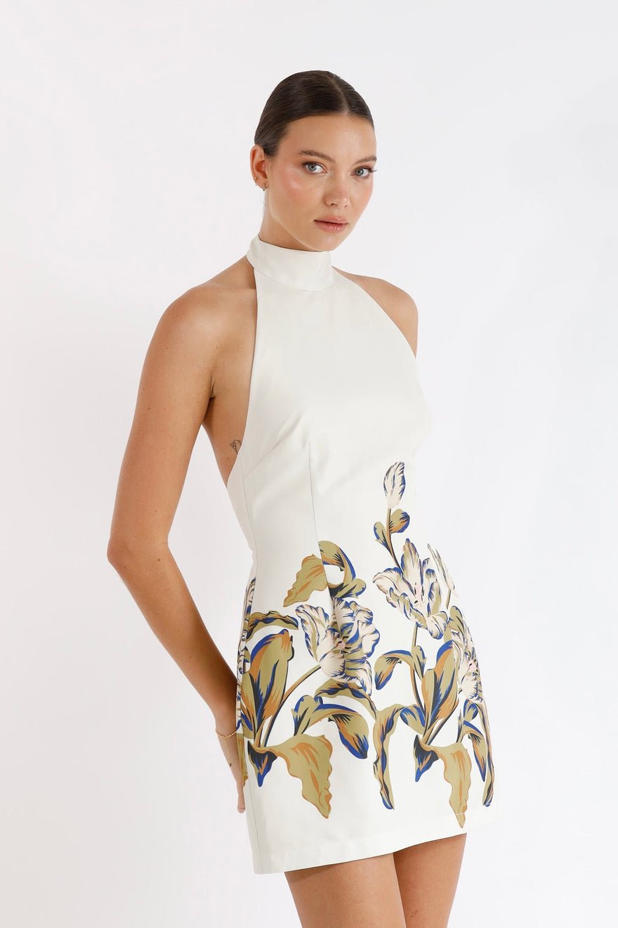 Pasduchas Flourish Halter Dress - Multi photo 3