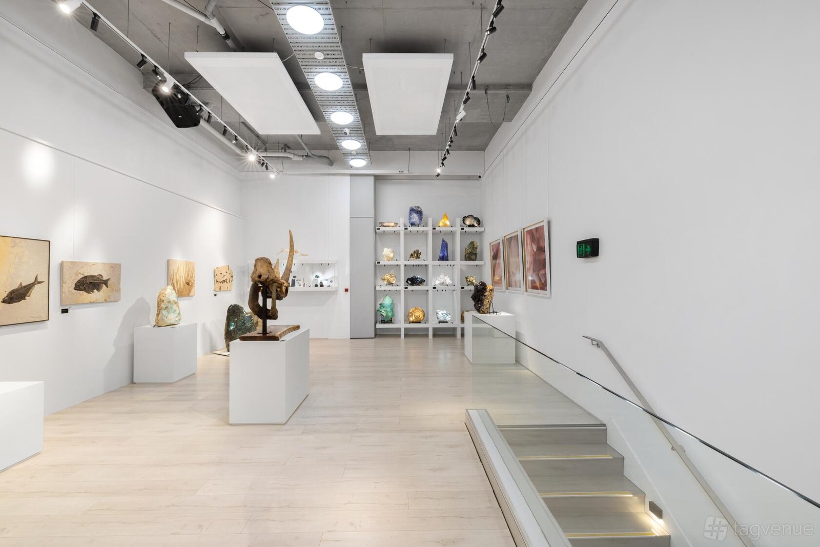The Gallery Space at B.C. House photo 6