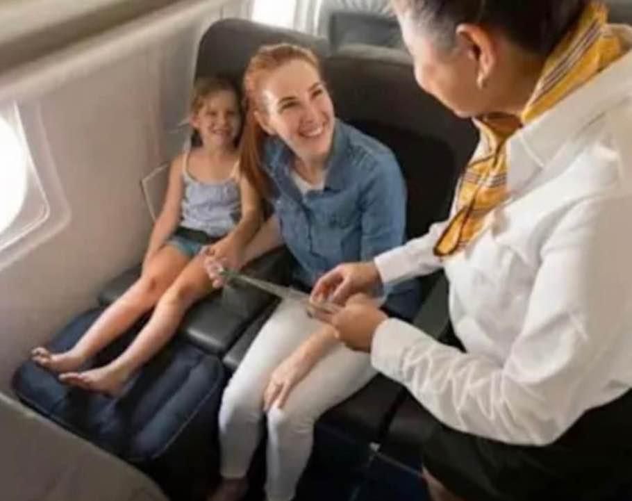 Plane Pal to hire photo 2
