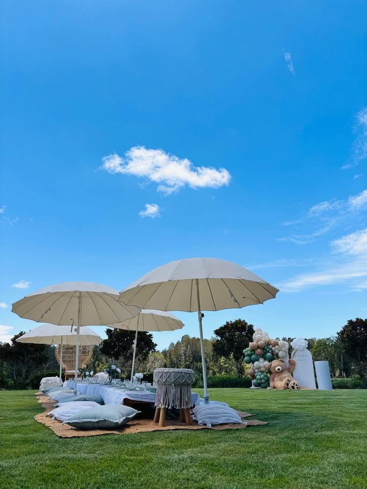 Pop Up Picnic Hire photo 4