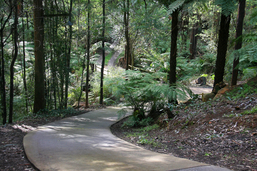 Fernglen Forrest Retreat photo 3