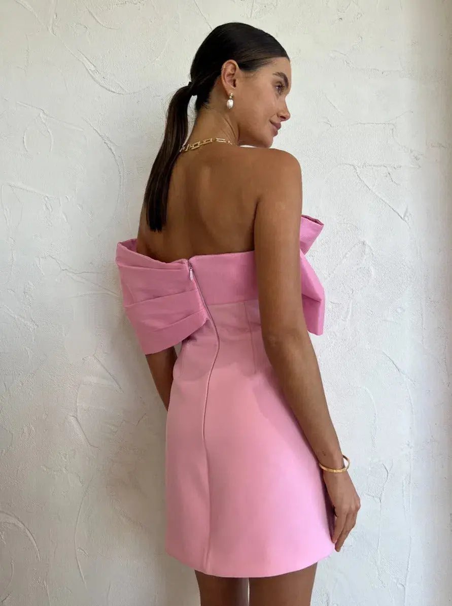 Rachel Gilbert Kace Mini Dress Pink Size 2 / AU 10 photo 3