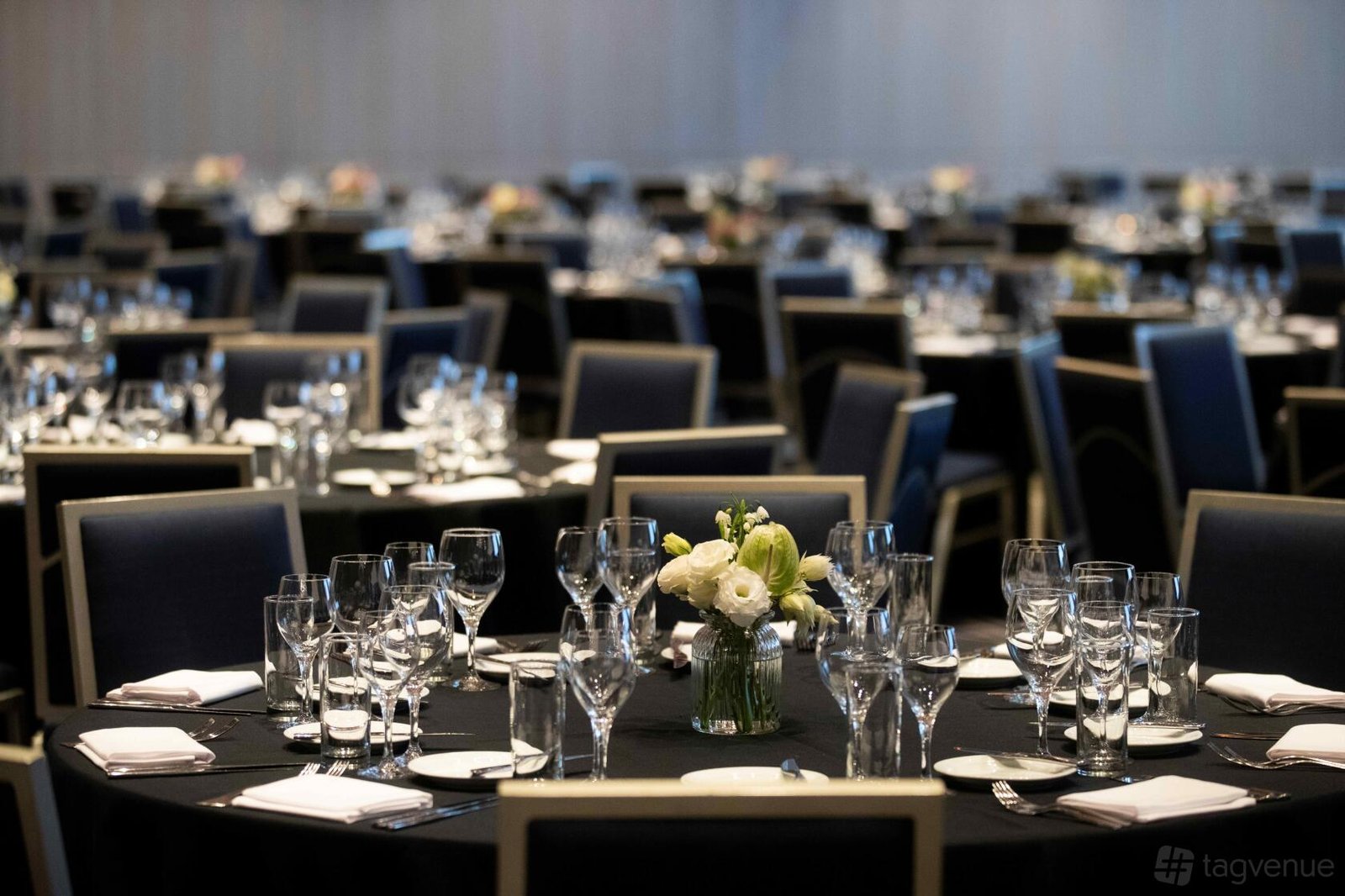 Wentworth Ballroom at Sofitel Sydney Wentworth photo 7