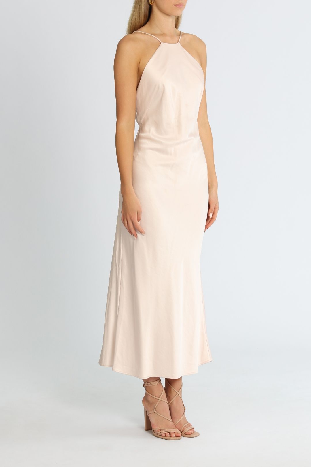 Vienna Dress - Blush photo 2