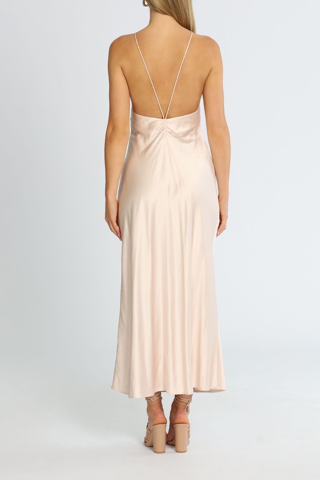Vienna Dress - Blush photo 3
