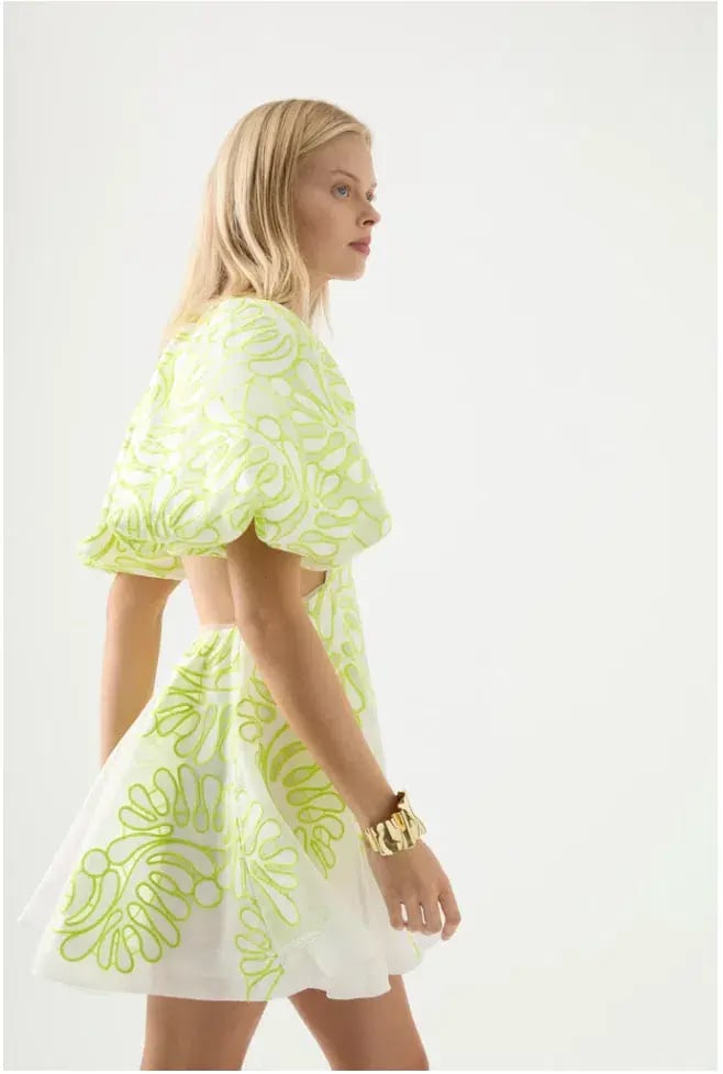 Aje Botanical Applique Mini Dress Ivory/Citrus Yellow Size XXS / AU 4 photo 6