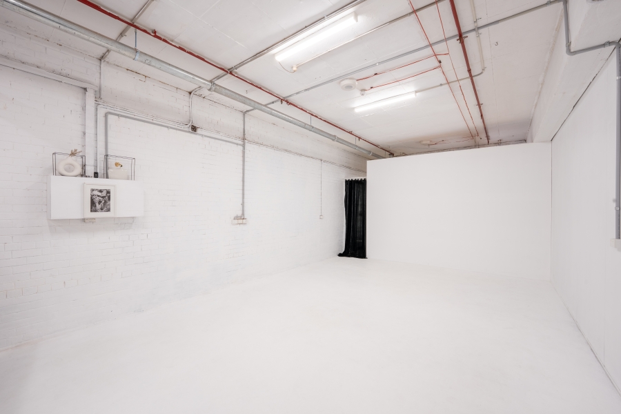 SOL studio photo 4