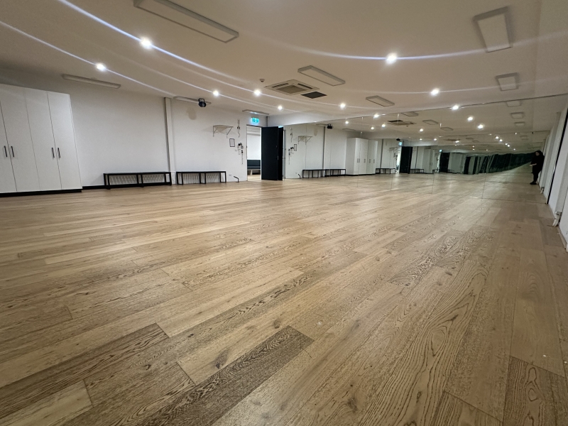 La Fiesta Dance Factory - Room 8 photo 3