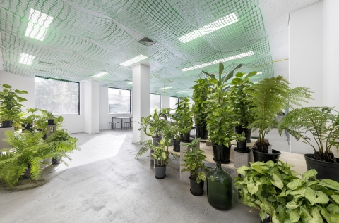 Office space to share photo 8