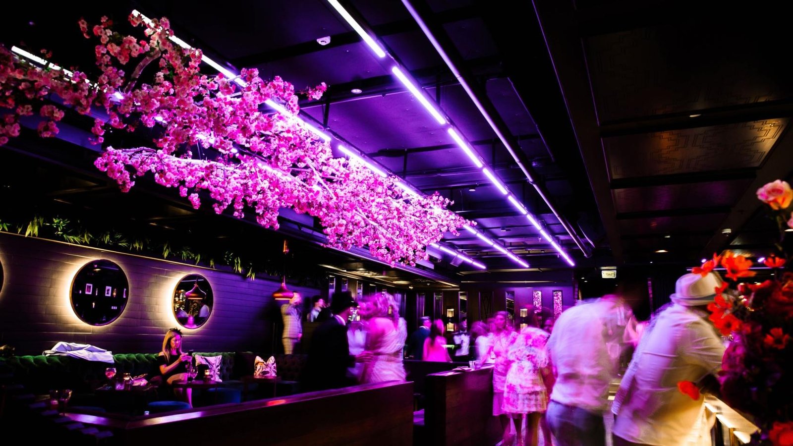 THE ENTIRE VENUE at Mr. Mista photo 21