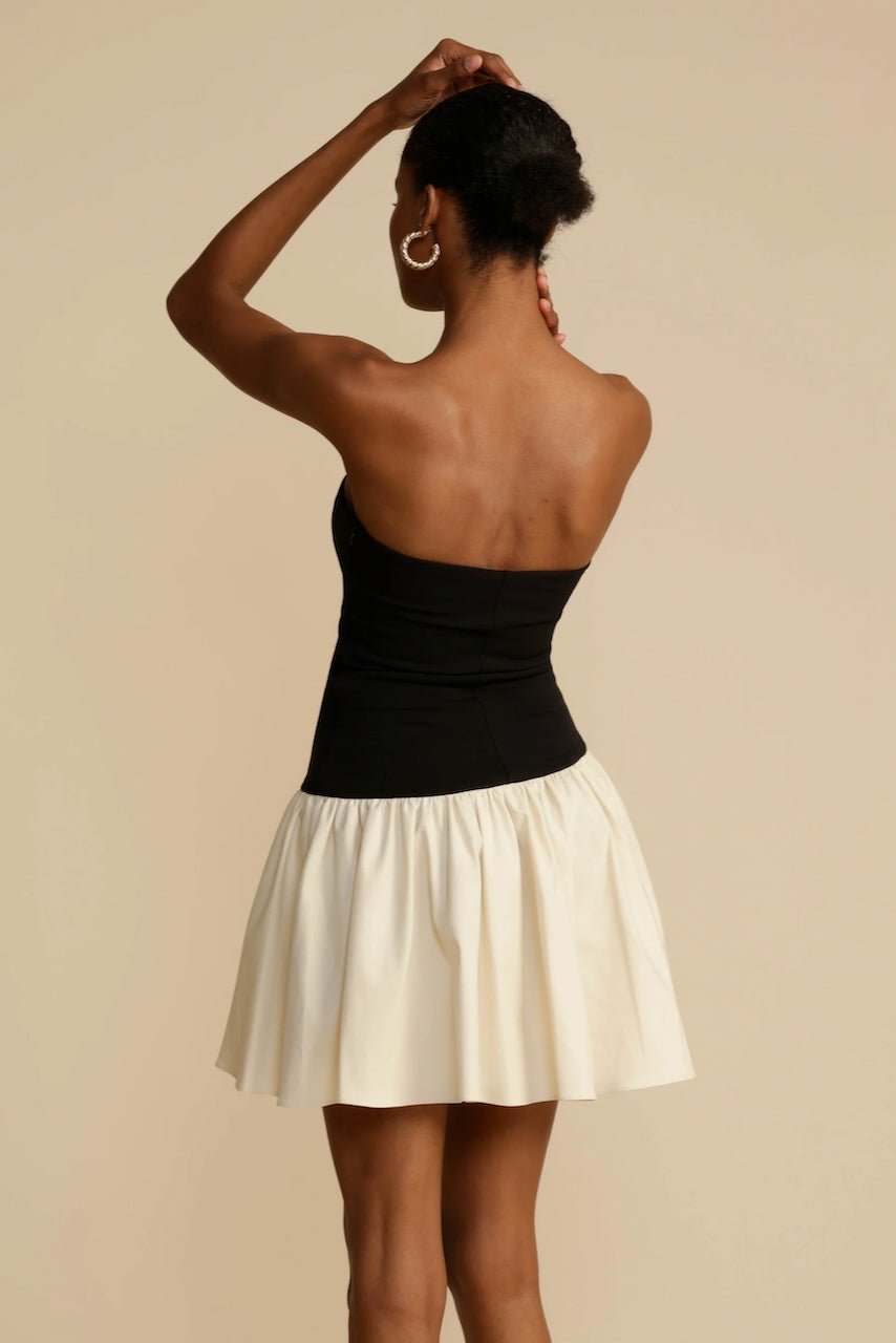ARCINA ORI CELINE DRESS - BLACK/CREAM photo 3