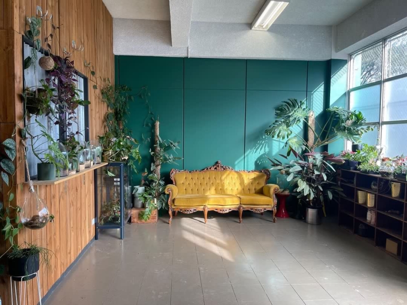 Plant filled haven for workshops or photo shoots photo 2