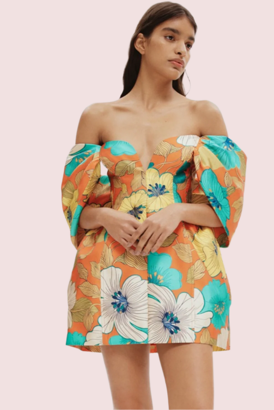 Alemais Piato Sculpt Mini Dress photo 2