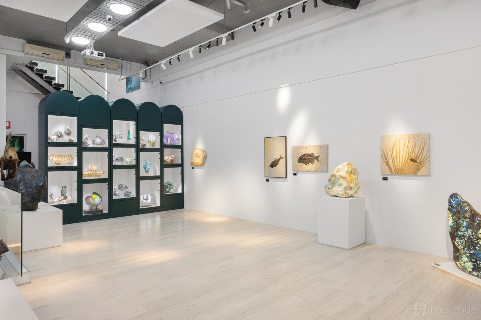 The Gallery Space at B.C. House photo 2