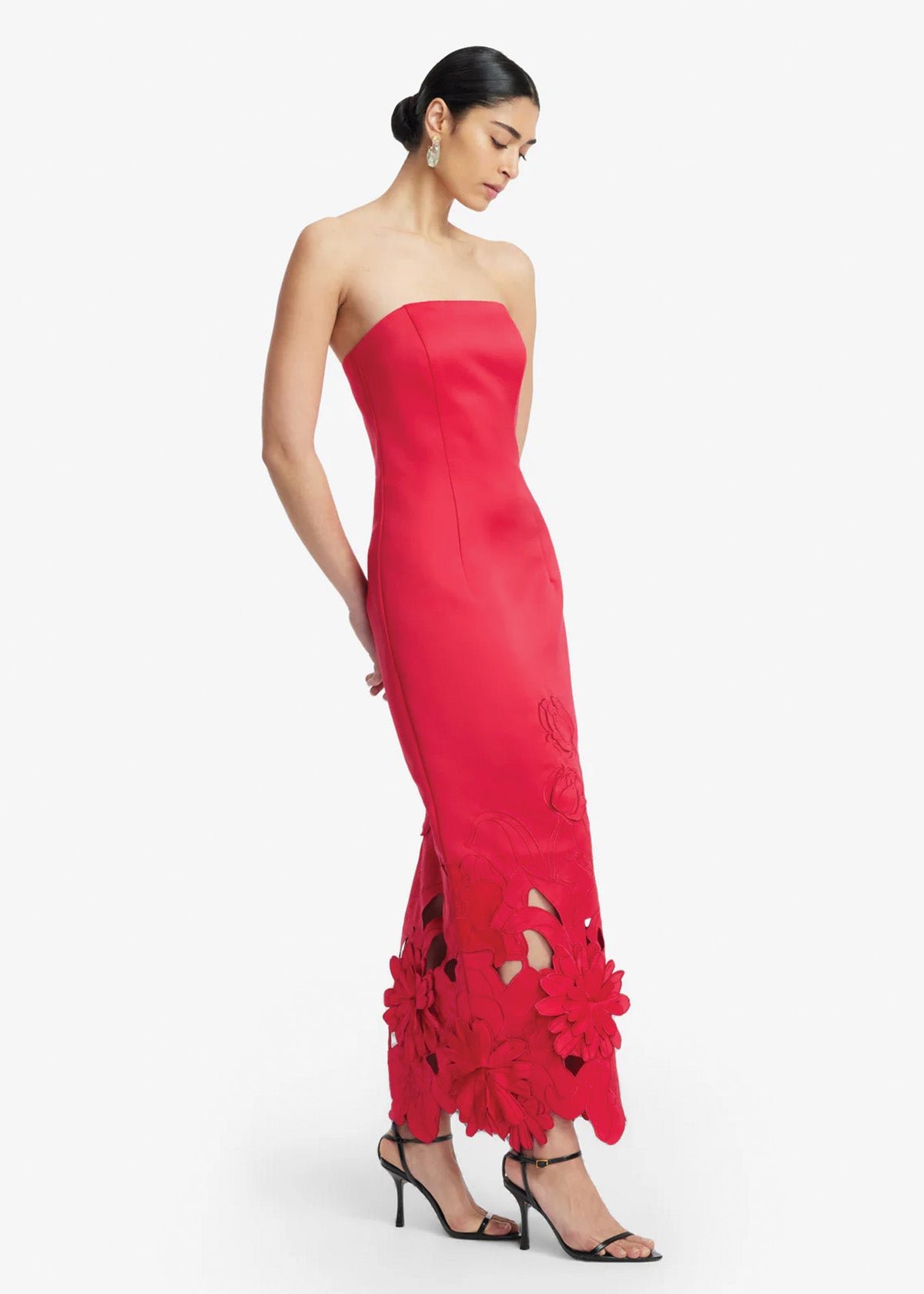 Rayna Applique Bustier Maxi Dress in Rosa photo 2
