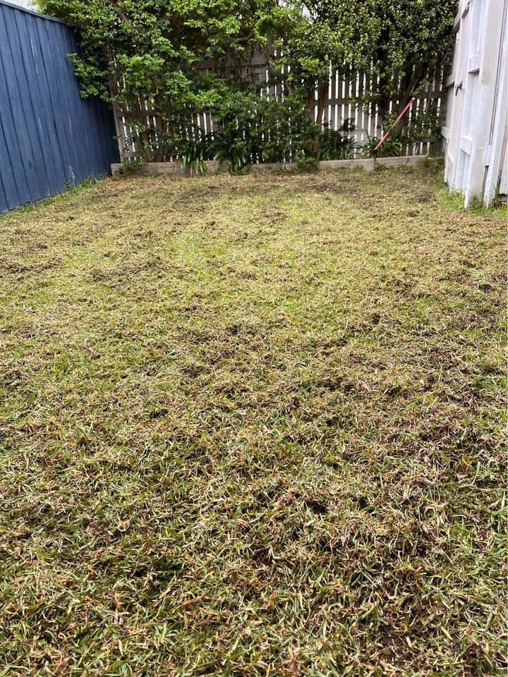 Bayside Scarifier Hire photo 5