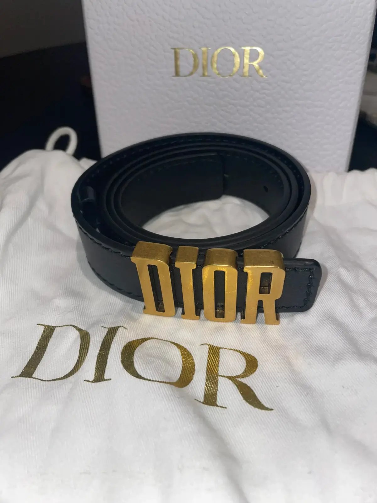 Dior D-Fence Belt Black photo 4