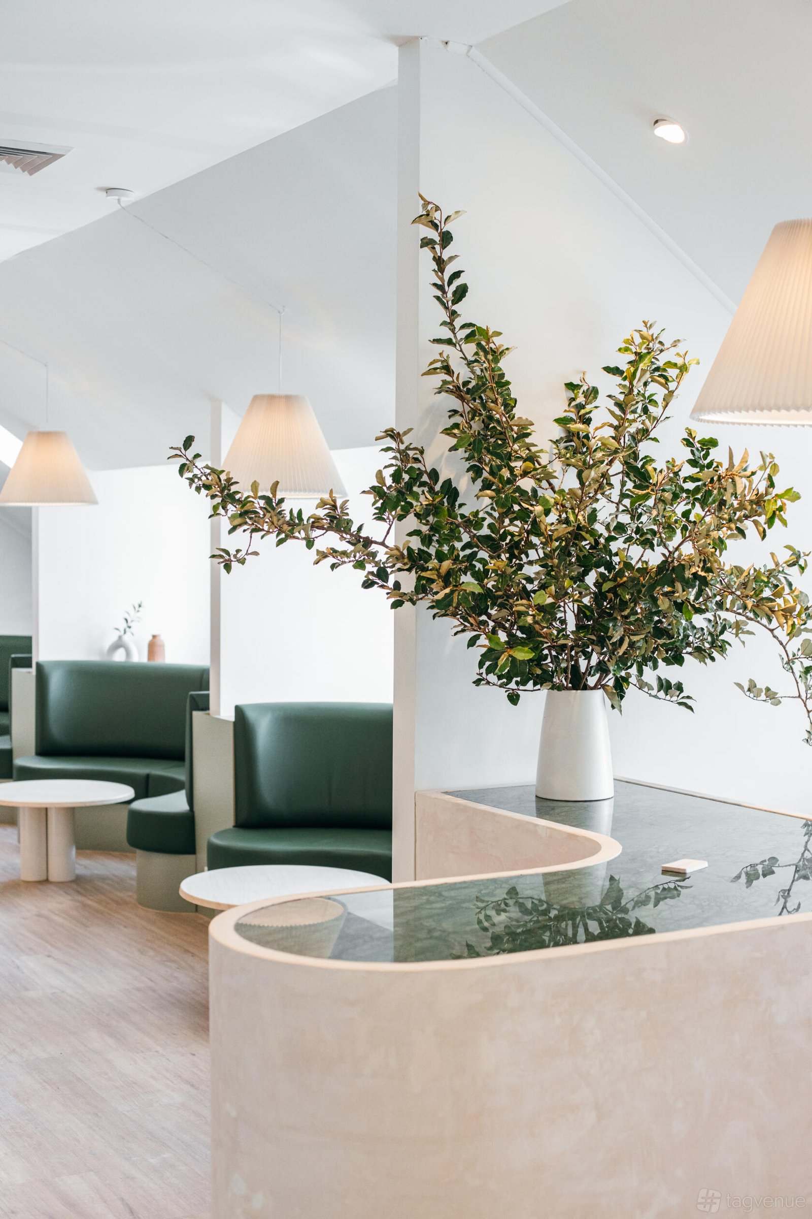 Entire Venue at Polly and Stone Luxury Hair Salon photo 6