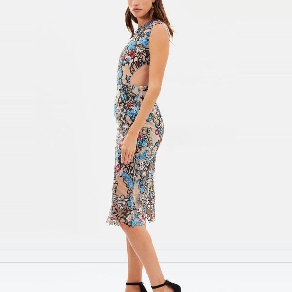 Bronx & Banco Birds Of Paradise Midi Dress Print Size 8 photo 4