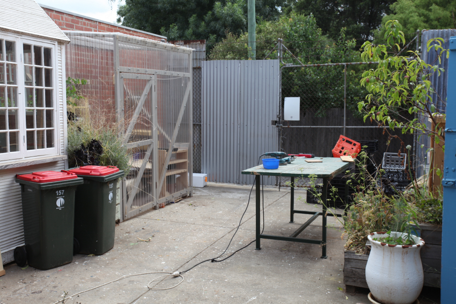Art Studio behind Cuppo Cafe photo 5