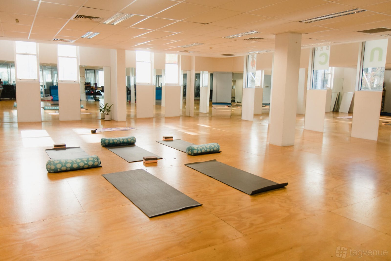 Flying Yogis Bondi Junction at Flying Yogis Annandale photo 2