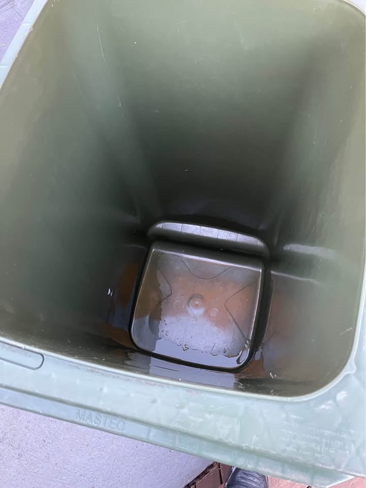 Bin hire photo 8