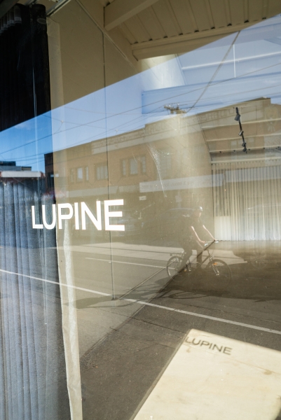 Lupine Studio photo 7