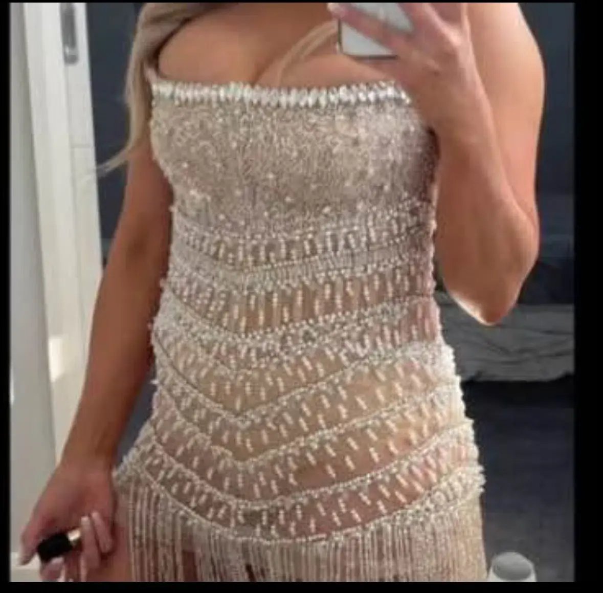 Albina Dyla Wild Silver/nude Corset Dress Nude Size 10 photo 2