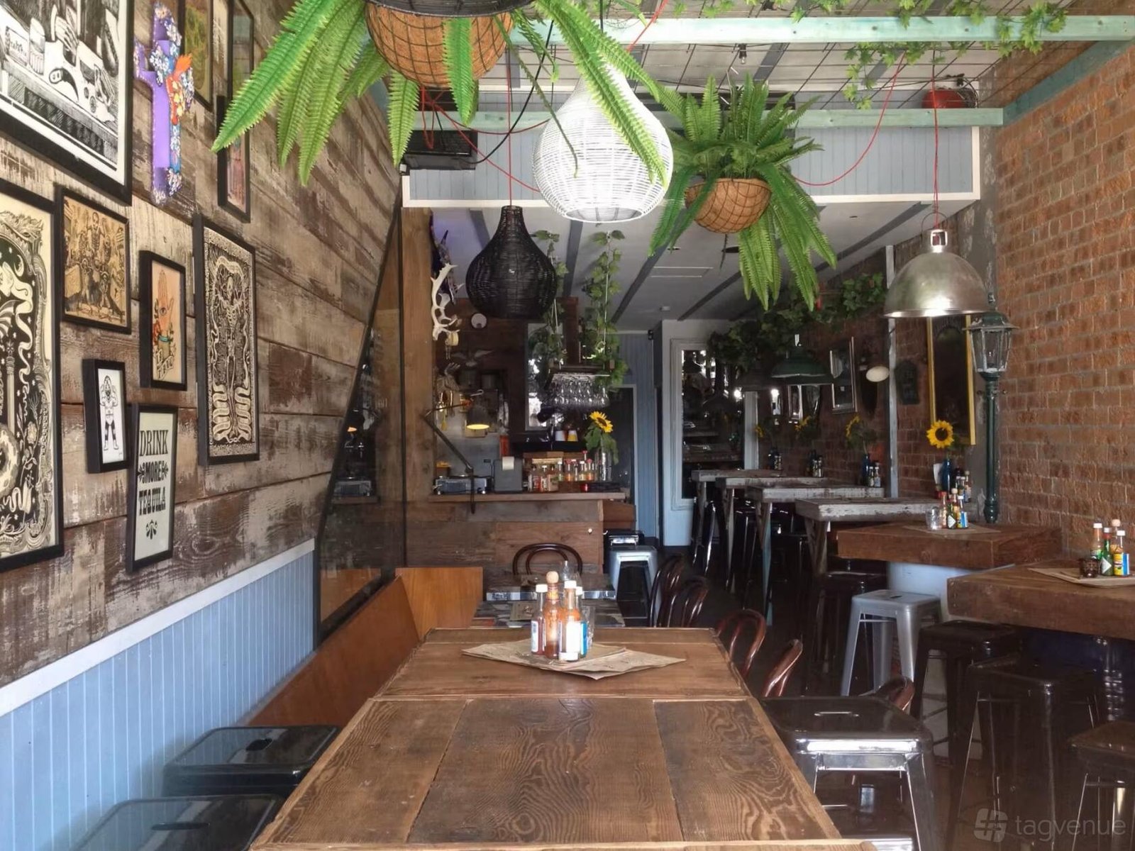Cantina Bar Balmain at Cantina Bar Balmain photo 2