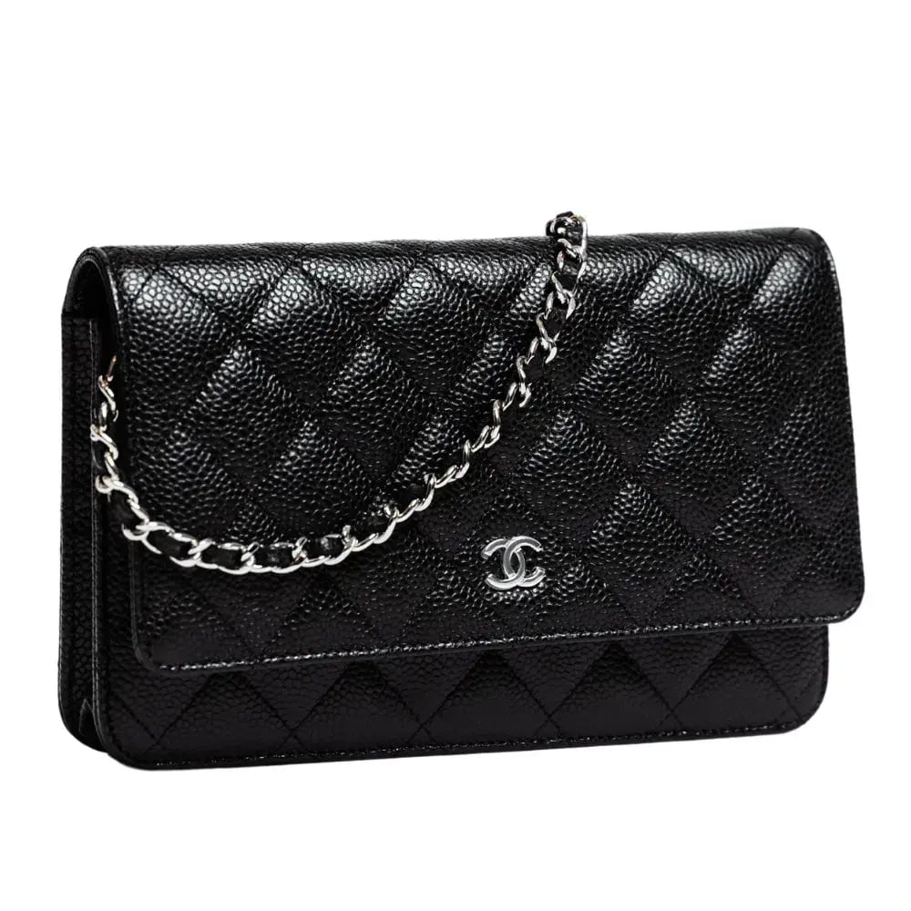 Chanel Classic Wallet On Chain Bag Black/Silver photo 2