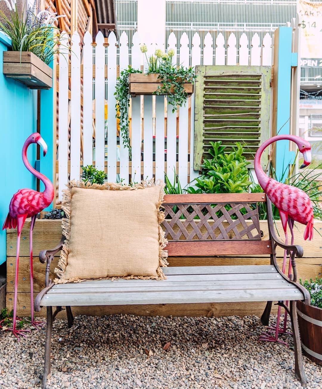 Garden at Lil Miss Collins Café Parramatta photo 13