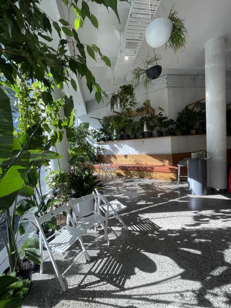 Oasis Botanicah photo 4