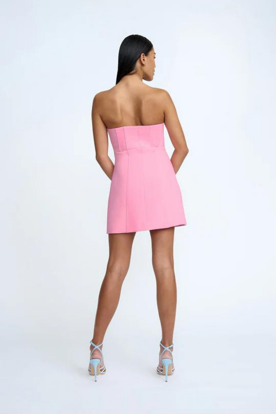 By Johnny Celeste Corset Heart Mini Dress photo 2