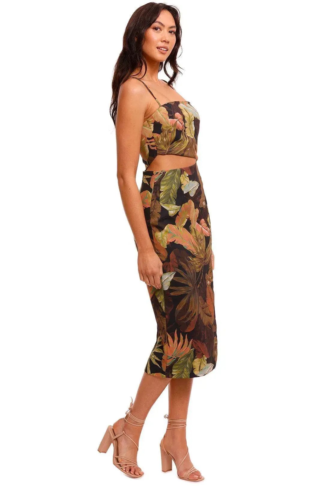 Pasduchas Botanist Slash Midi Dress Print Size 6 photo 3