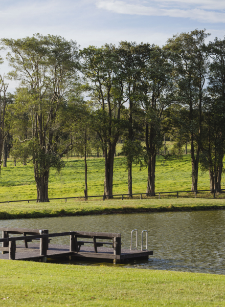 Somersby Estate photo 6