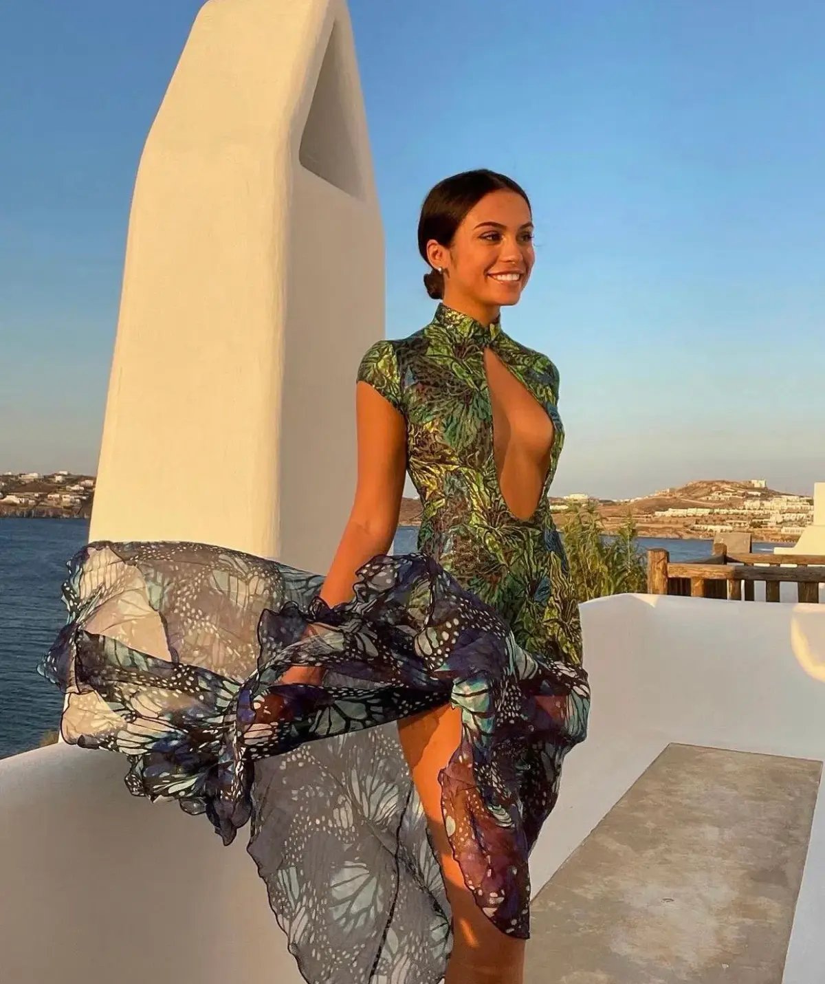 Kim Shui Lace Butterfly Dress Print Size 6 photo 3