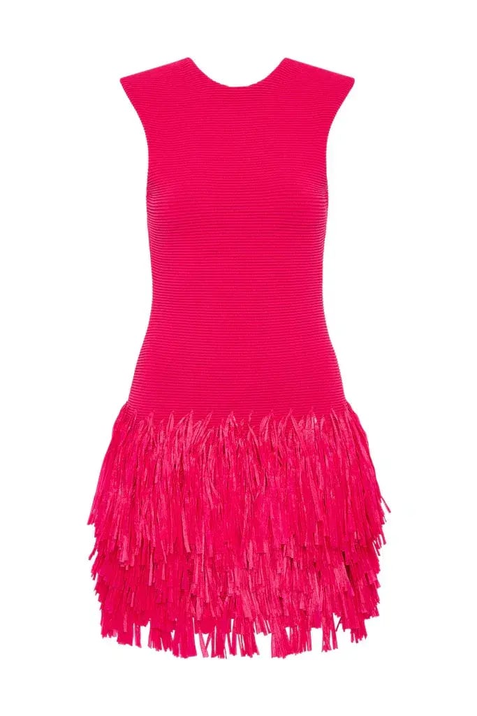 AJE Rushes Raffia Knit Mini Dress Hot Pink Size Large / Size 12 photo 4