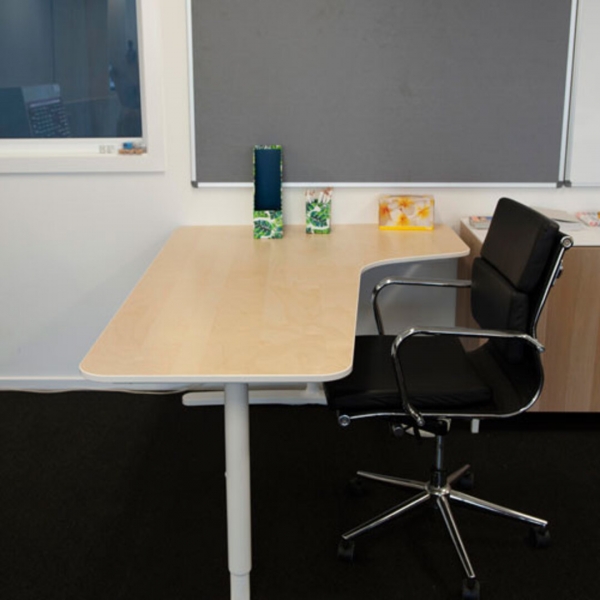 Shine Learning Studio photo 3