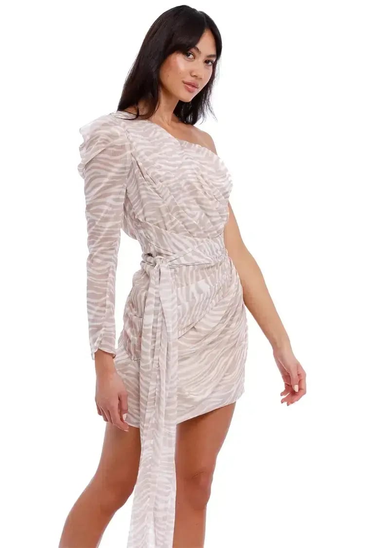 MISHA Jaylene Mini Dress Print Size 12 photo 4