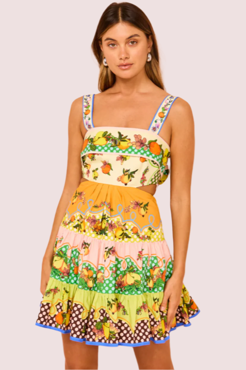 Alemais Lemonis Cut Out Mini Dress photo 3