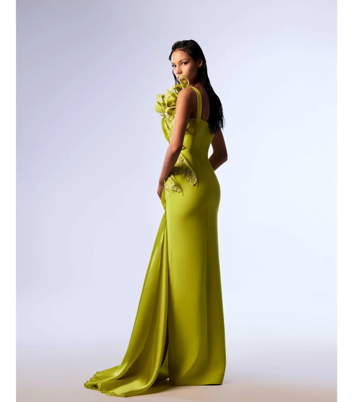 Gaby Charbachy Intricate Lace And Organza Mermaid Dress Lime Size AU 10 photo 2